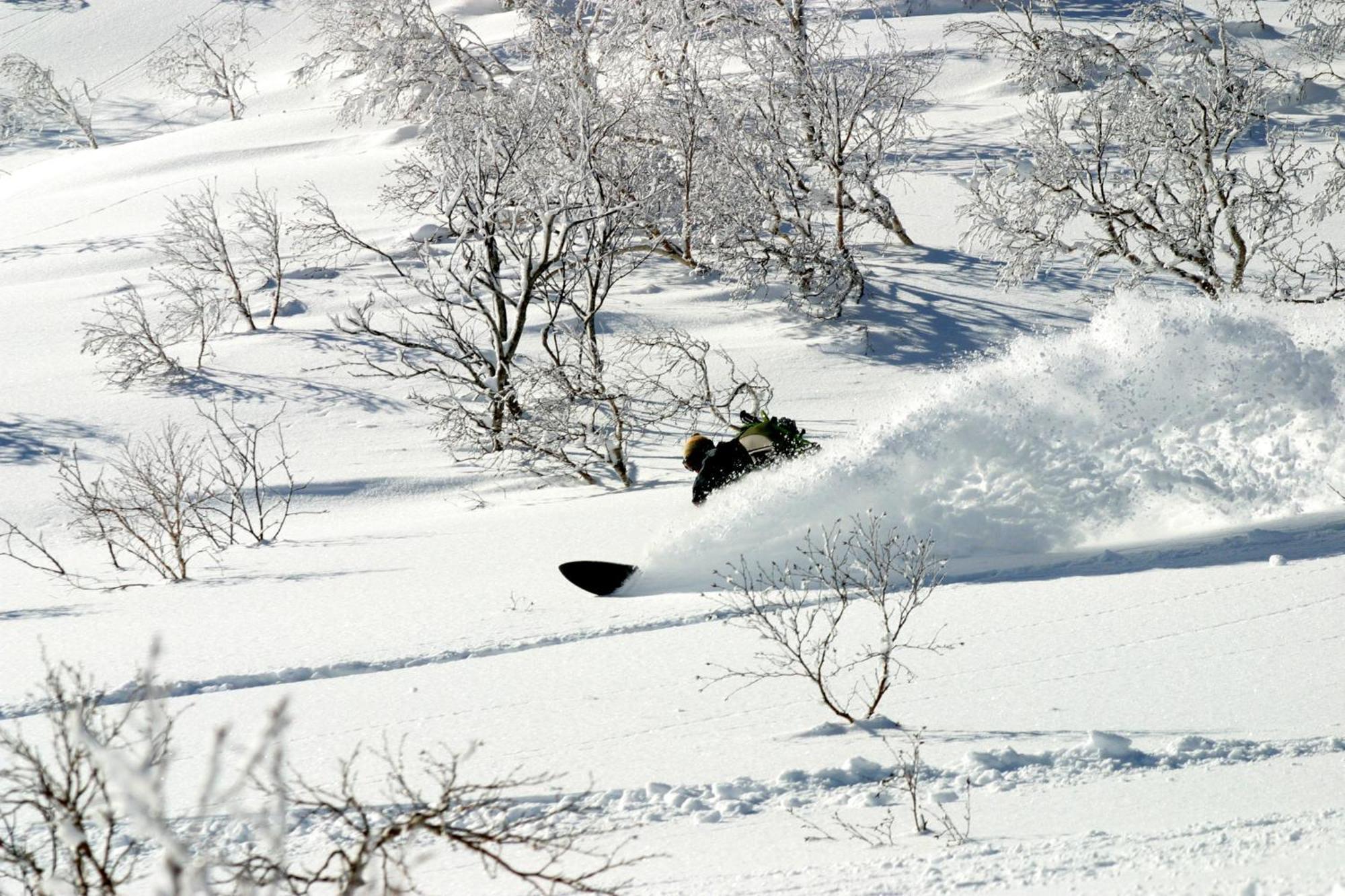 Ryokan Kanronomori Niseko